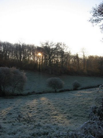 Un beau matin d'hiver